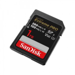 Sandisk SDSDXEP-1T00-GN4IN