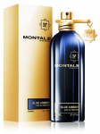 Montale Sinine Ambra Parfm EDP 100 ml