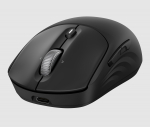 HEWLETT-PACKARD HP 705 Super Capacitor Wireless Mouse - Multi-Device, Programmable, 4-way scrolling, Ultra-Fast Rechargeable, Multi Surface, 6000 dpi - Black