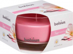 Bolsius Candle Magnolia 9x6.3cm
