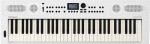 Roland GO:KEYS 5 Valge MIDI klaviatuur 61 klahvi USB/Bluetooth