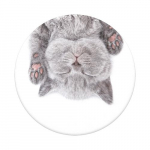 Popsockets Kassiunetus, passiivne hoidja, e-raamatilugeja, mobiiltelefon/nutitelefon, tahvelarvuti/UMPC, mitmevrviline