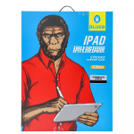 5D Mr. Monkey Glass - iPad Pro 10.5 transparent (Strong HD)