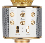 Riff WS-858 Karaoke Microphone with Speakers AUX and Micro SD, Gold