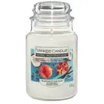 Yankee Candle Kodu inspiratsiooniknal Granaatipvan ja Kookos (granaatipunane ja kookos)