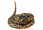 LEAN Toys Plush Brown Snake Mascot 110 cm