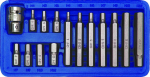Vorel 15 . HEX CrV