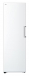 LG Electronics LG GFT41SWGSF kaappakastin, valge (GFT41SWGSF.ASWQEUR)