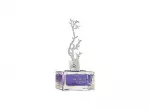 Aurora Sgisene Puu, Eau De Parfum, Naistele, 100 ml