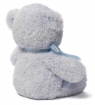 SM GUND GUND Minu esimene karupoole, sinine, 25 cm
