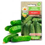 TORAF Kastmiseen seemned | Kurk Polan F1 | 5g pakend