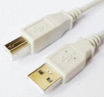 Brackton USB kabel 1.8m, valge, meesmehed (Male) - B (Male B)