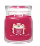 Yankee Candle Santa On Skis Aroomiline Knal 368 g