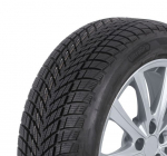 Talverehv 205/55R16 GOODYEAR Premiumklass