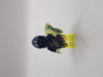 LEGO Minifigures - Ninjago, Ghost Ninja