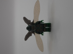 LEGO Minifigures - DC, Parademon