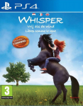 PS4 Windstorm
