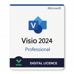 Microsoft Visio Professional 2024 Digital Licence | Different Licence Options