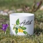 Keraamiline lillepott "Ait&auml;h"