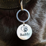 Valitud nimega lemmiklooma ripats