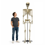 Hiiglaslik XXL dekoratsioon "Skelett" (240cm)