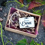 V&otilde;tmehoidja "Parim emme"