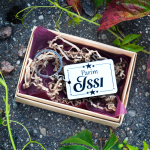 V&otilde;tmehoidja "Parim issi"