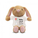Pl&uuml;&uuml;sist j&auml;nes "Binky - s&otilde;ber ristseteks" Sinu valitud nime ja kuup&auml;evaga (18 cm)