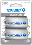 Laetavad patareid everActive R20/D NiMH 1,2V 5500 mAh kasutusvalmis 2B