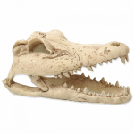 Repti Planet Crocodile Skull 13,8 x 6,8 x 6,5 cm | 8595091798865
