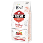 Brit Fresh Beef with Pumpkin Puppy Large 2,5 kg | 8595602530762