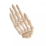 Trixie Halloween Hand with Chicken for dogs (15 cm) 70 g | 4011905919850