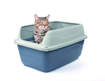 Open cat toilet with border Sonic Colosseo 56x40x30 cm | 8016040105294