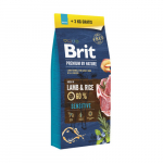 Brit Premium By Nature Sensitive Lamb 15+3 kg | 8595602575718