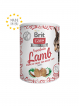 Brit Care Cat Snack Superfruits Lamb 100g | 8595602555697