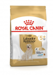 Royal Canin BHN Labrador Retriever Adult 5+ 12kg | 3182550908412