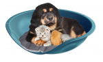 Bed for animals Beddy Pillow cm. 57x48x16 h + pillow, different colors | 8016040201019