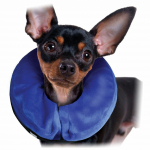 KONG Cloud XSmall - collar for dogs and cats | 035585081328