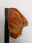 Dried pig ear 18cm, 1 pcs. | 9711  | 4751008285253