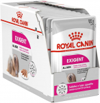 Royal Canin CCN Exigent loaf wet 12x85g | 99003579009468