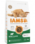 IAMS Cat Adult Lamb 3 kg | 8710255127002