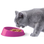 Blow VIBRISSA Small 15 x 4 h cm, different colors | 8016040100008