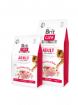 Brit Care Cat GF Adult Activity Support (Fresh Chicken & Turkey) 7 kg | 8595602540815
