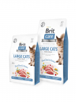 Brit Care Cat GF Large cats Power&Vitality 0,4kg | 8595602540921