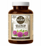 Canvit Silybum Marianum 150g | 8595602508976