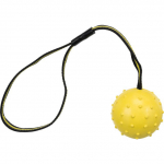 Trixie kummist sportpall k&ouml;iel koeram&auml;nguasi (⌀6 cm, pall, 35 cm, k&ouml;is) | 4011905328201