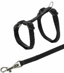 Trixie Junior Kitten Harness with Lead, 19-31 cm, Assorted Colors | 4011905041827