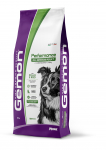 Gemon Dog Performance All Breeds Adult with Chicken and Rice 20 kg | 8009470006255