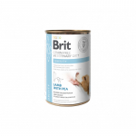 Brit GF Veterinary Diets Dog Can Obesity 400g | 8595602536115
