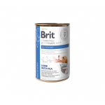 Brit GF Veterinary Diets Dog / Cat Recovery 400g | 8595602536191